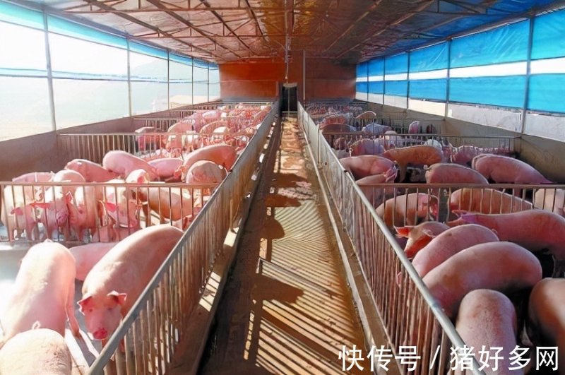 富平养殖有限公司如何脱颖而出？